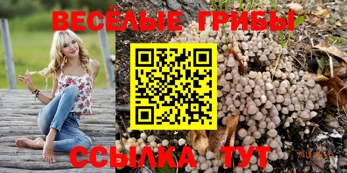 Псилоцибиновые грибы мухоморы  Вход с VPN  Шадринск  Псилоцибиновые грибы MAGIC MUSHROOMS 